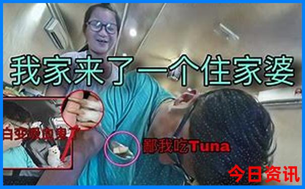 夏天上哪去旅游合适